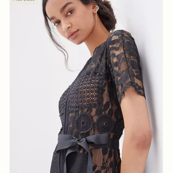 NWT Bryon Lars Anthropologie Carissima Sheath Dress Size 2 P Petite - Picture 3 of 11